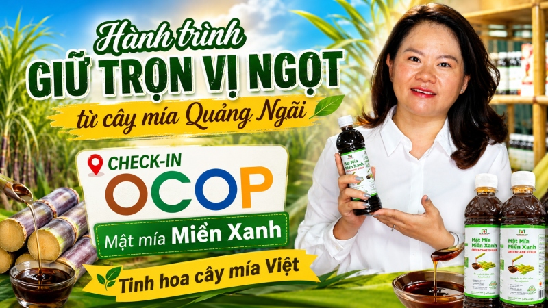 Hành trình giữ trọn vị ngọt từ cây mía Quảng Ngãi: Mật mía Miền Xanh – Tinh hoa cây mía Việt
